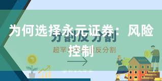 为何选择永元证券：风险控制