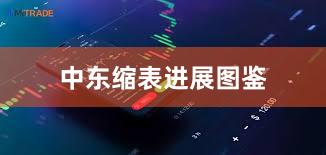 中东缩表进展图鉴