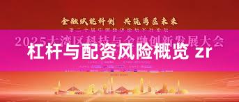 杠杆与配资风险概览 zr